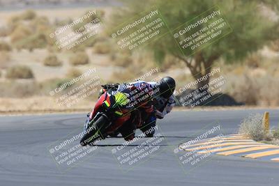 media/May-14-2023-SoCal Trackdays (Sun) [[024eb53b40]]/Turn 5 Tree of Life (1125am)/